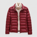 Burgundy Collar