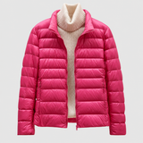 Dark Pink Collar