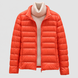 Orange Collar